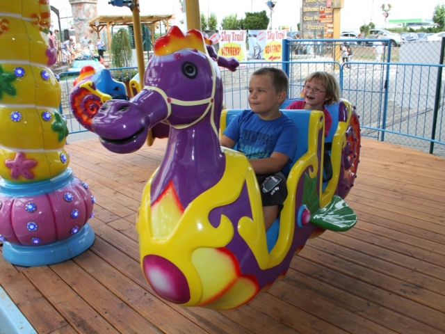 img_20571 - Flying seahorse